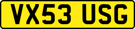 VX53USG