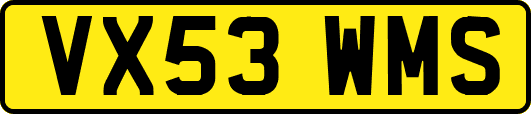 VX53WMS
