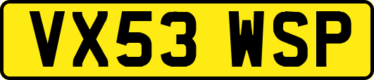 VX53WSP