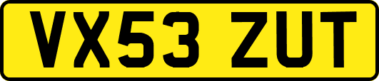 VX53ZUT