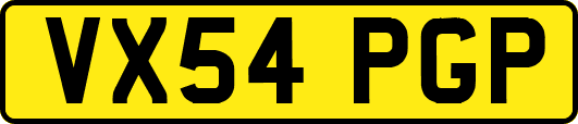 VX54PGP