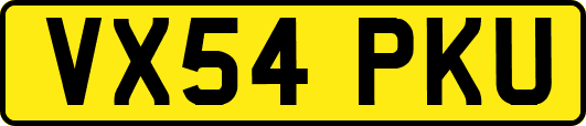 VX54PKU