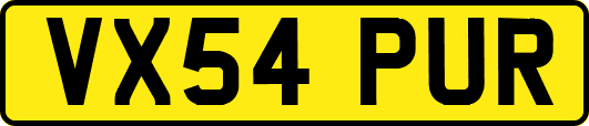 VX54PUR