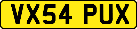 VX54PUX