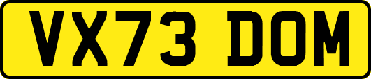 VX73DOM