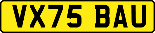 VX75BAU