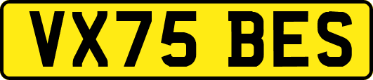 VX75BES