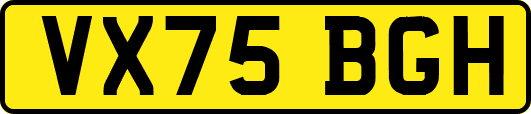 VX75BGH