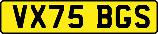 VX75BGS