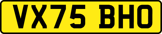 VX75BHO