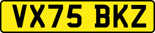 VX75BKZ