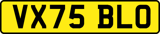 VX75BLO