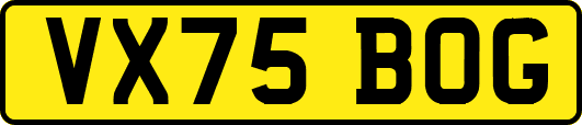 VX75BOG