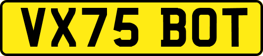 VX75BOT