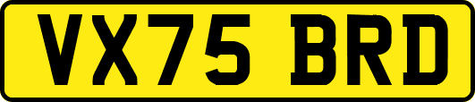 VX75BRD