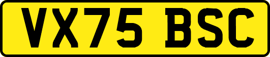 VX75BSC