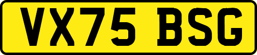 VX75BSG