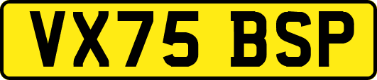 VX75BSP