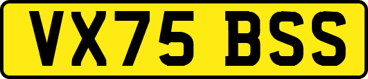 VX75BSS