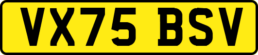 VX75BSV