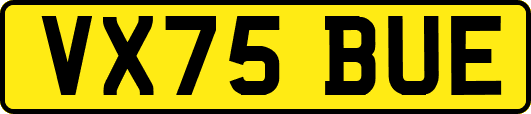 VX75BUE