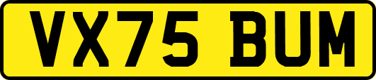 VX75BUM