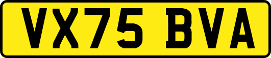 VX75BVA