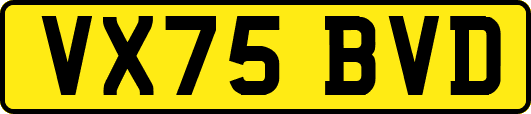 VX75BVD