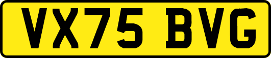 VX75BVG
