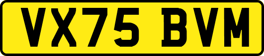 VX75BVM