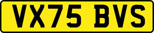 VX75BVS