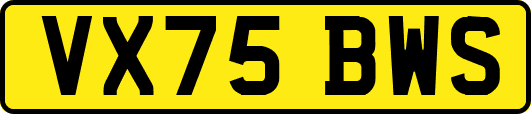 VX75BWS