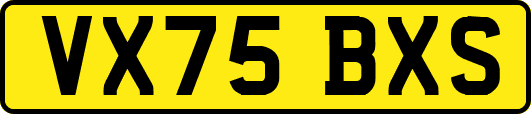 VX75BXS