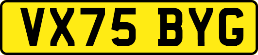 VX75BYG