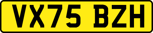 VX75BZH