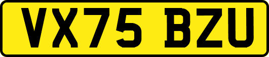 VX75BZU