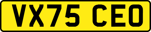 VX75CEO