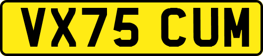 VX75CUM