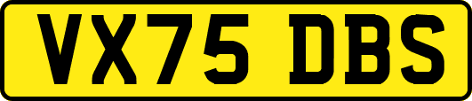 VX75DBS