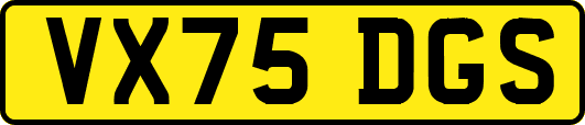 VX75DGS