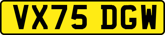 VX75DGW