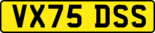 VX75DSS