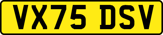 VX75DSV