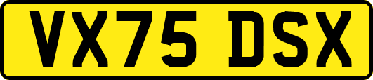VX75DSX