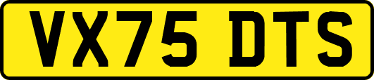 VX75DTS