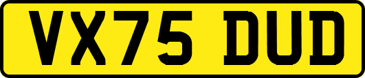 VX75DUD