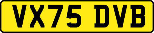 VX75DVB