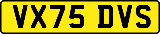 VX75DVS