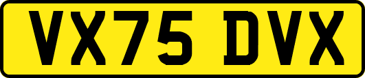 VX75DVX