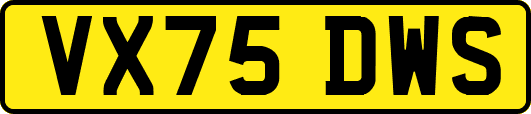VX75DWS